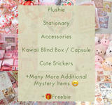 Kawaii Mystery Box ,Kawaii Mystery Plush /Cute Mystery Box , Kawaii Surprise Box , Surprise Box ,Birthday Gift, Theme Mystery Box